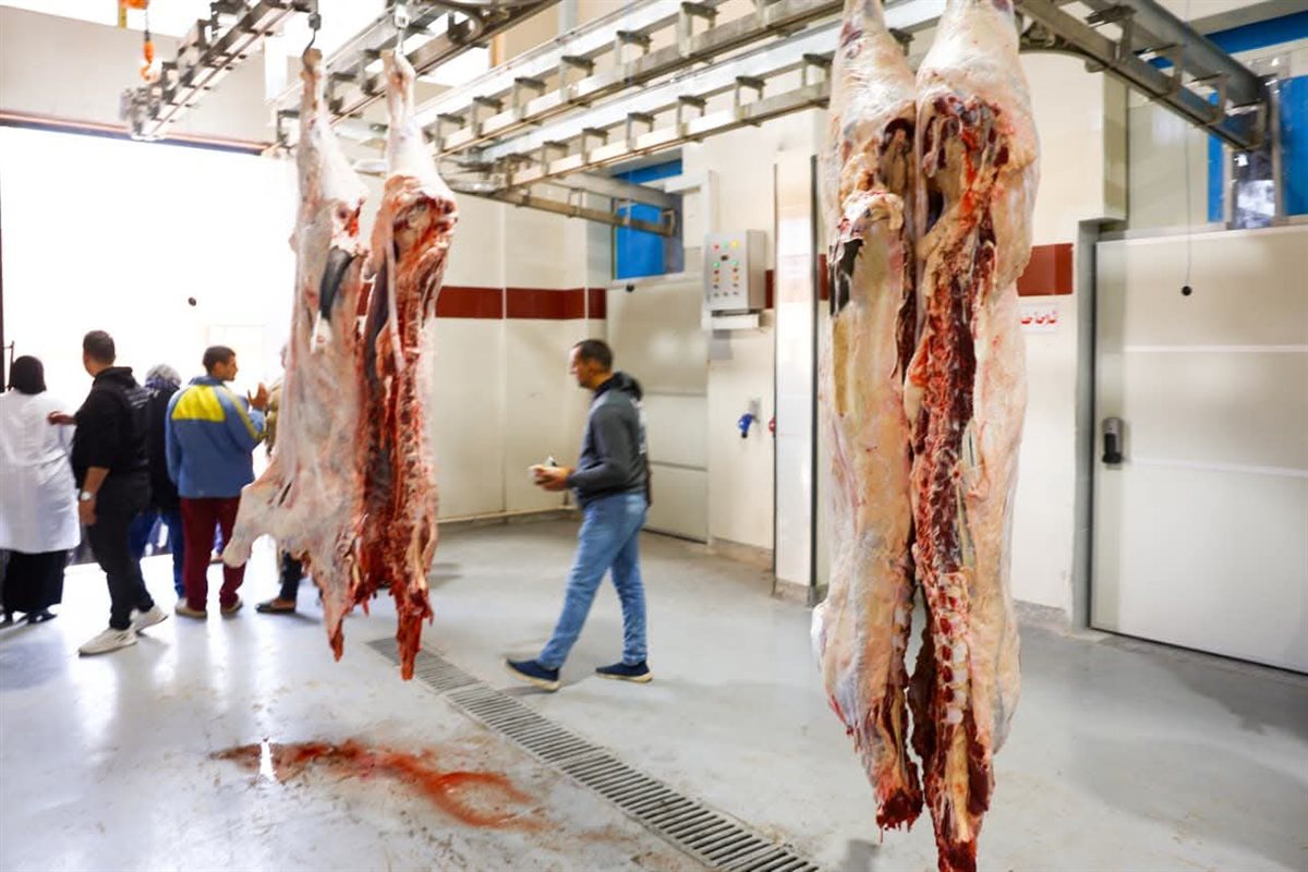 مجزر كفر شكر<br>&nbsp;