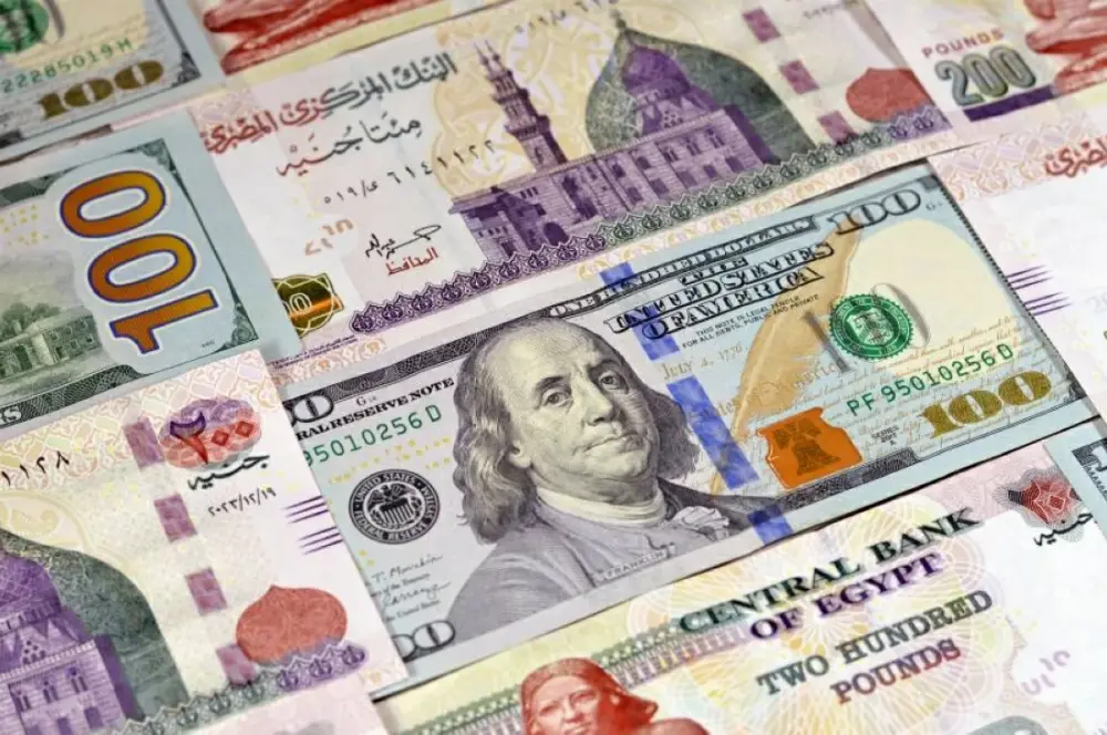 سعر الدولار