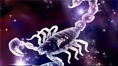 حظك اليوم برج العقرب الاربعاء 31 ديسمبر 2025.. يوم مليء بالتحديات والفرص