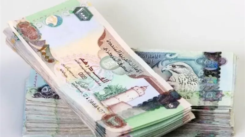 سعر الدرهم الإماراتي