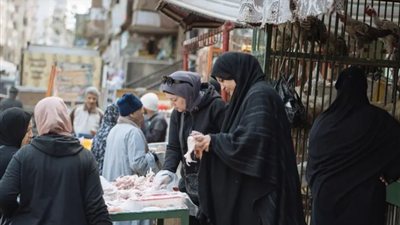 مصر تستعد لـ رمضان بإجراء عاجل.. هل ستنخفض أسعار الدواجن؟