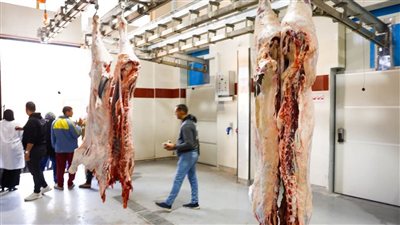 أول مجزر في مصريحتوي علي وحدة 