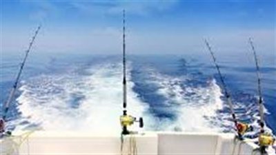 ارتفاع أسعار الوقود يقلص رحلات الصيد في فرنسا وإيطاليا وإسبانيا