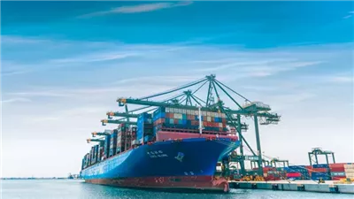  لمدة 3 أشهر.. مصر تسمح بإنهاء الإجراءات دون التسجيل المسبق