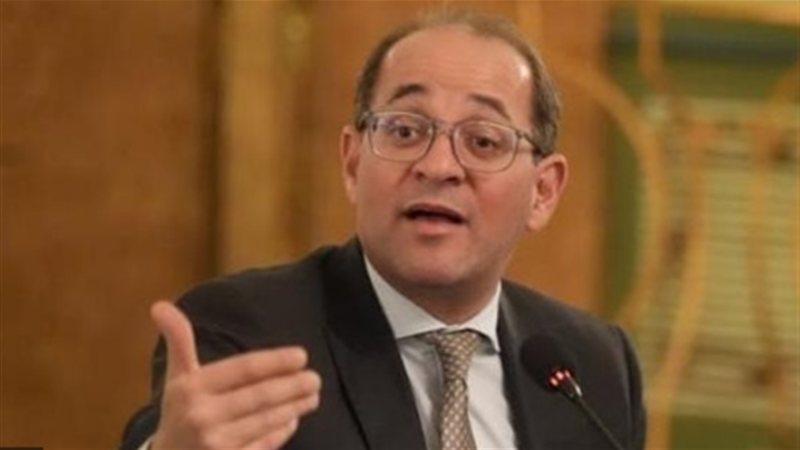 وزير المالية أحمد