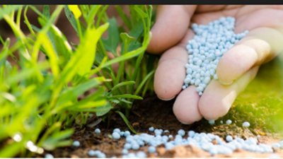 من النفط إلى الغذاء.. حرب الشرق الأوسط تهدد إمدادات الأسمدة العالمية