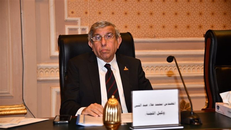 النائب علاء عبد النبي